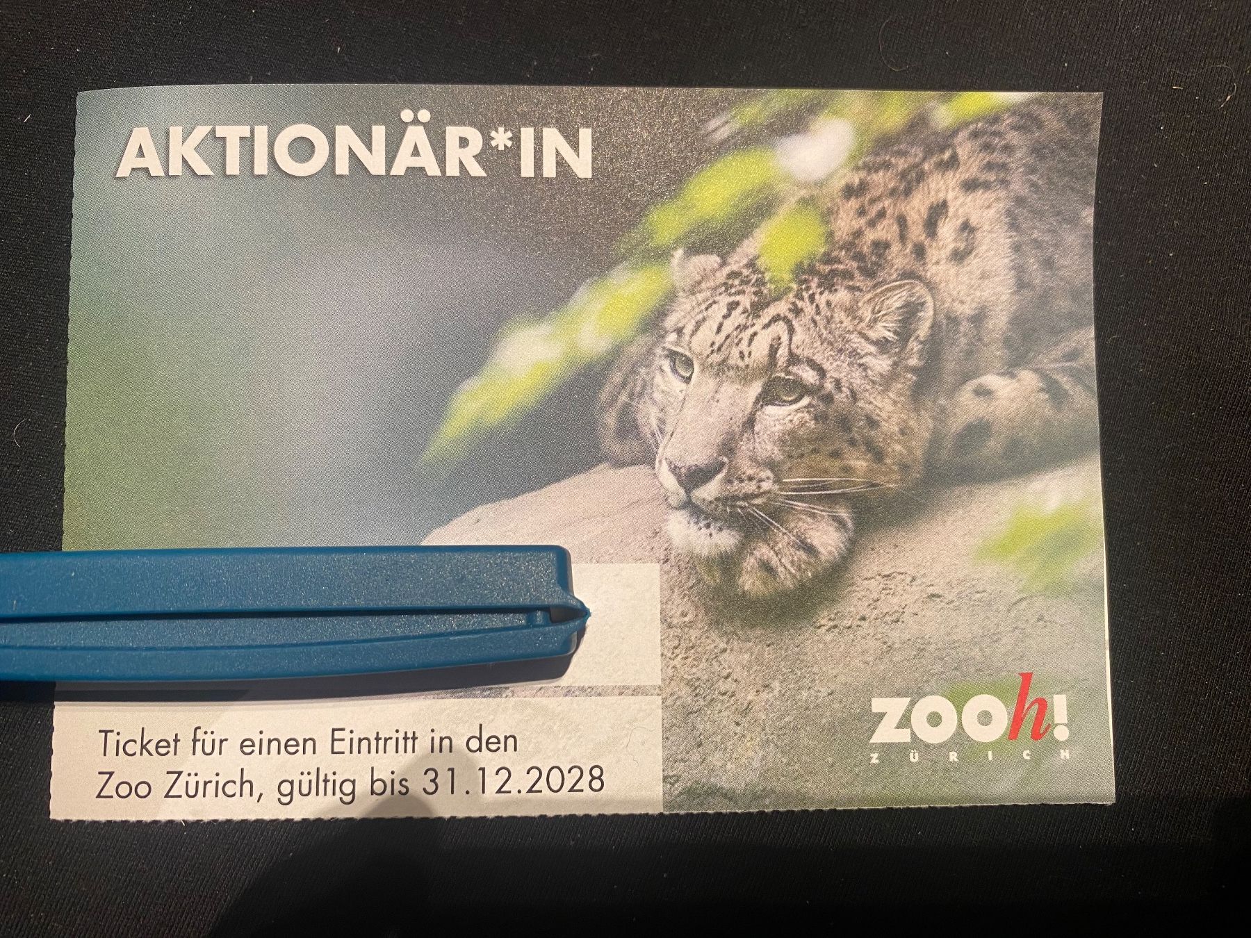 Buoni: Eintritte Zoo Zürich – Nuovo (secondo la descrizione) da Belp venduto da Kasparov_K 1
