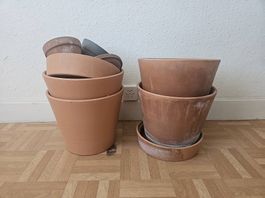 Pots et souscoupes
