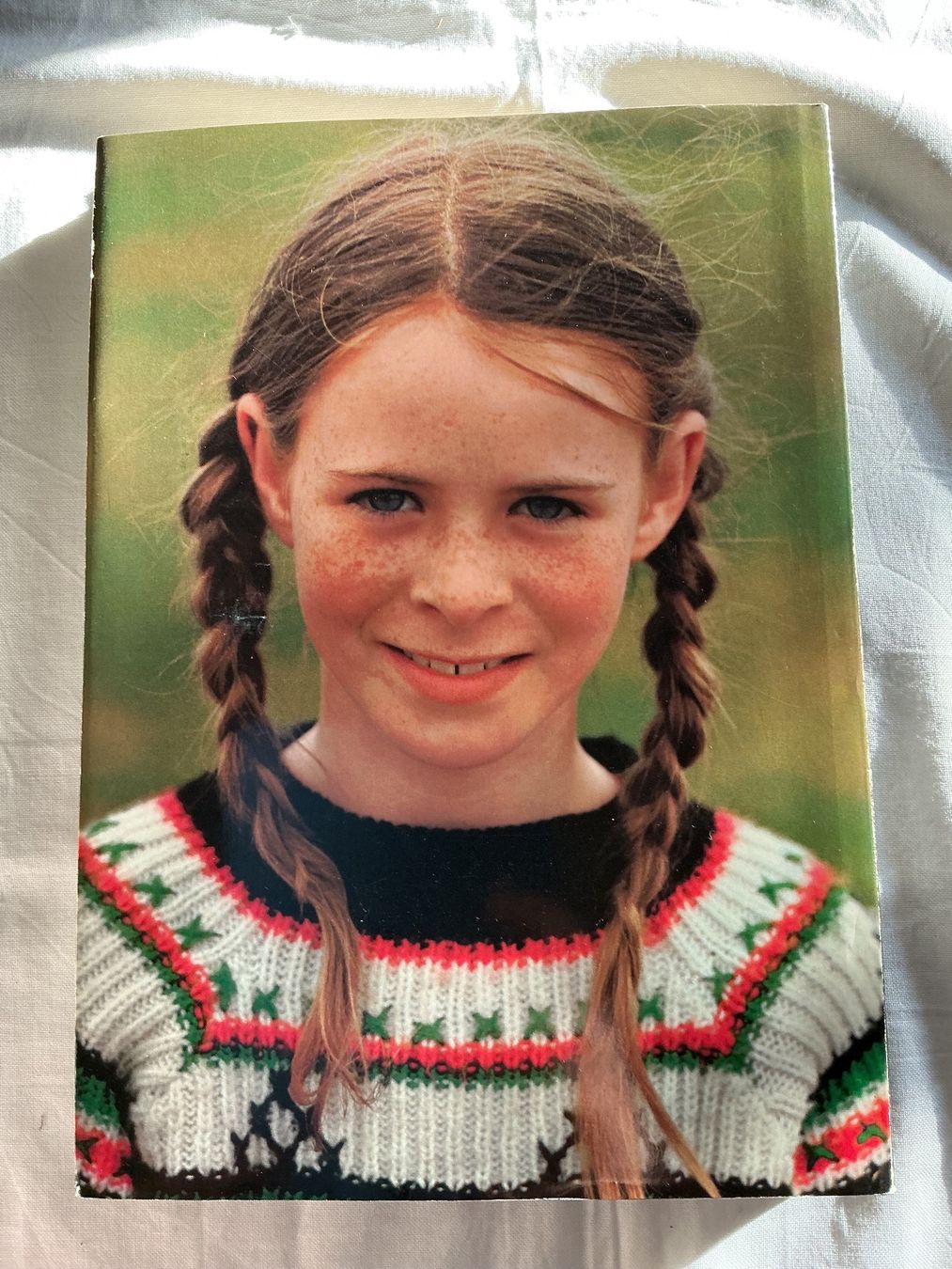 Libri: Silva Buch Irland – Usato da Niederhasli venduto da ercp4 1