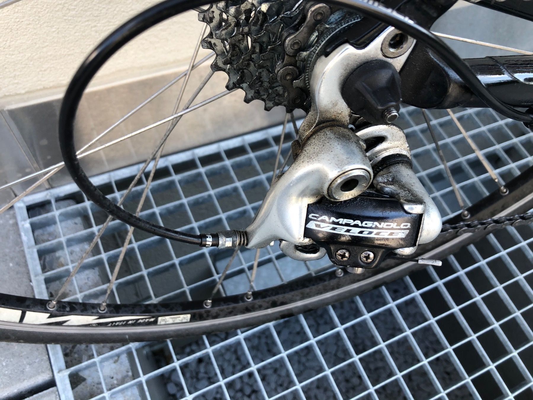 Velos: Rennvelo Willier – Gebraucht aus Untersiggenthal von Ferien1 2