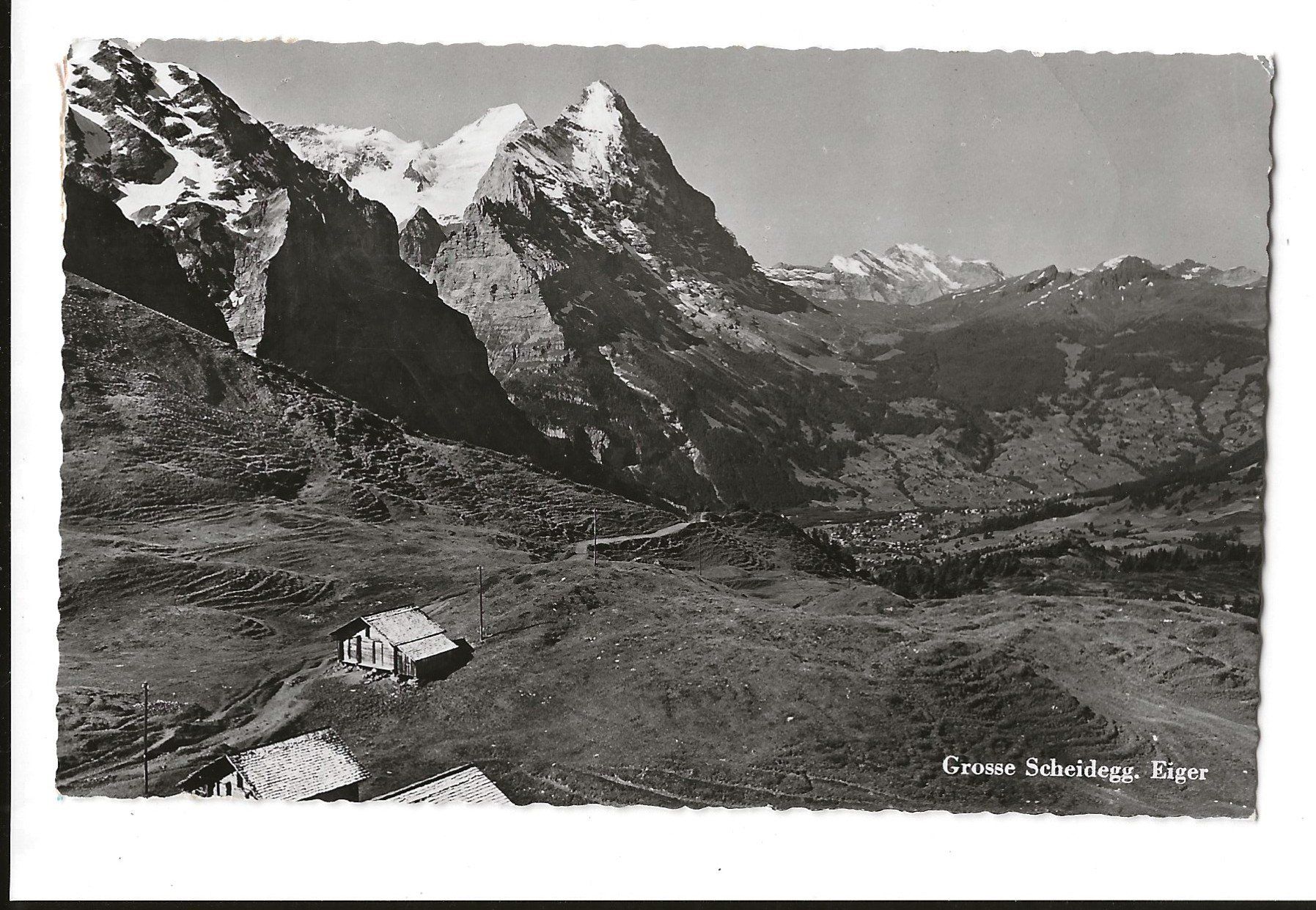 Cartoline postali: AK 1956 Grosse Scheidegg , Eiger – Usato da Greifensee venduto da 315WDO