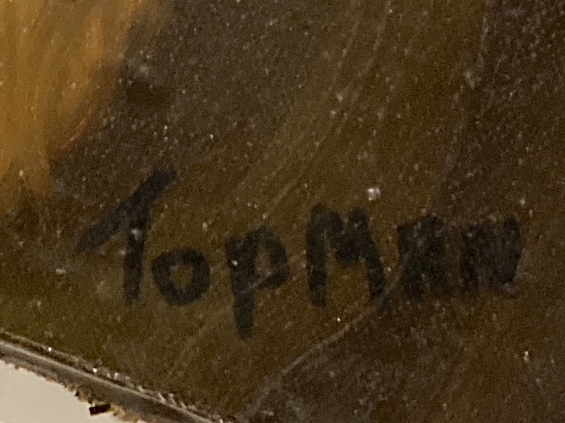 Gemälde: Topmann Gemälde signiert Portrait eines alten Mannes – Gebraucht aus Hirzel von pjn_d7xp 2