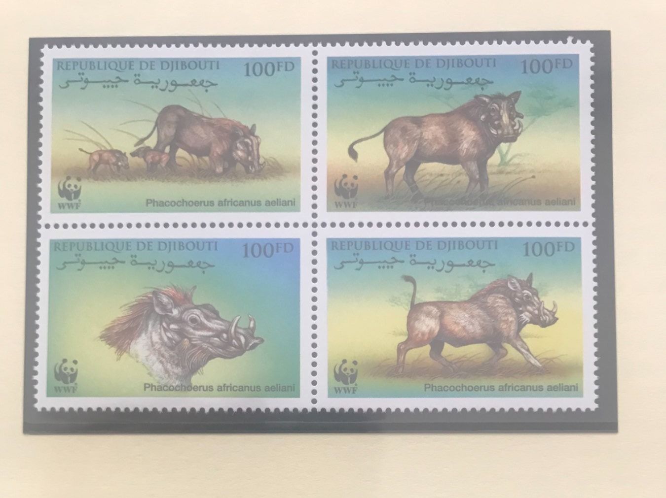 Tutti i francobolli: Dschibuti 2000 Satz WWF Eritrea-Warzenschwein postfrisch – Nuovo (secondo la descrizione) da Liestal venduto da schnueps