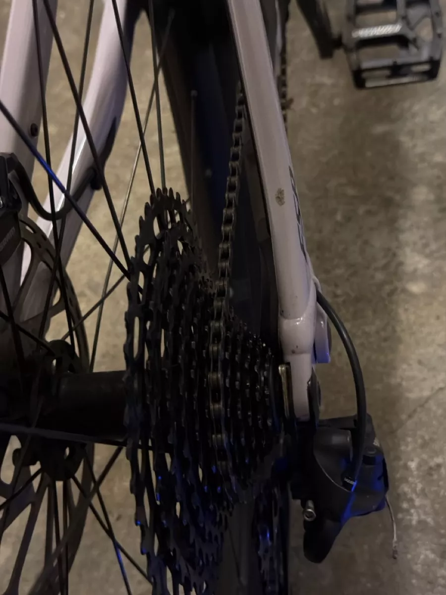 Specialized Velos: Specialized Levo  – Gebraucht aus Steffisburg von mauricecathomen 2