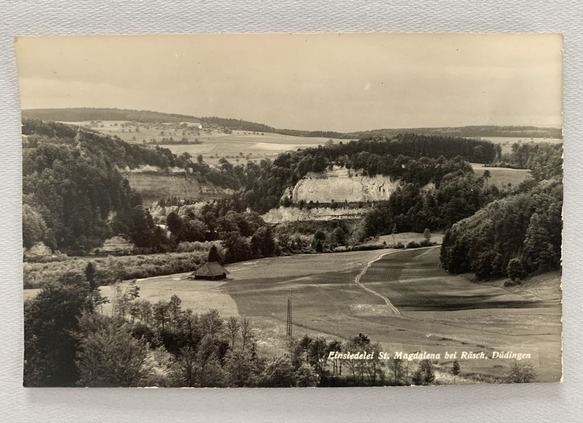 Cartoline postali:  Ansichtskarten/Photos Schweiz - Düdingen FR – Usato da Düdingen venduto da polytropon_5 2
