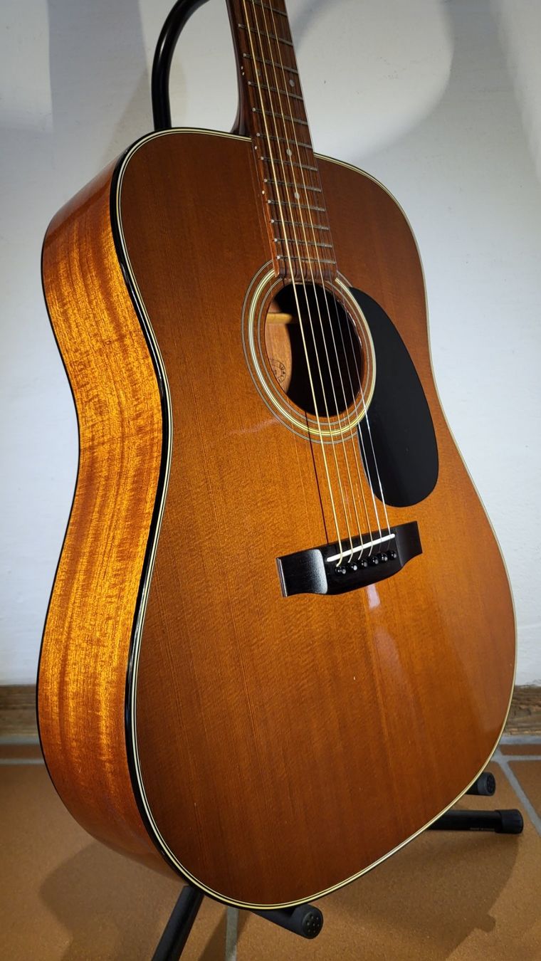 Strumenti musicali: Western Gitarre Morris WT-19 – Usato da Winterthur venduto da NorrSydGuitars 6