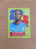 Panini Fifa COD 3