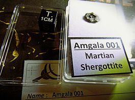 Echter und rarer  Mars - Meteorit Amgala 001 aus Westsahara
