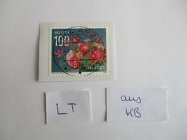Voll Letzttagsstempel der Postschliessung 6864 Arzo