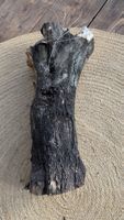Oliven-Holzstamm natur belassen guter Zustand
