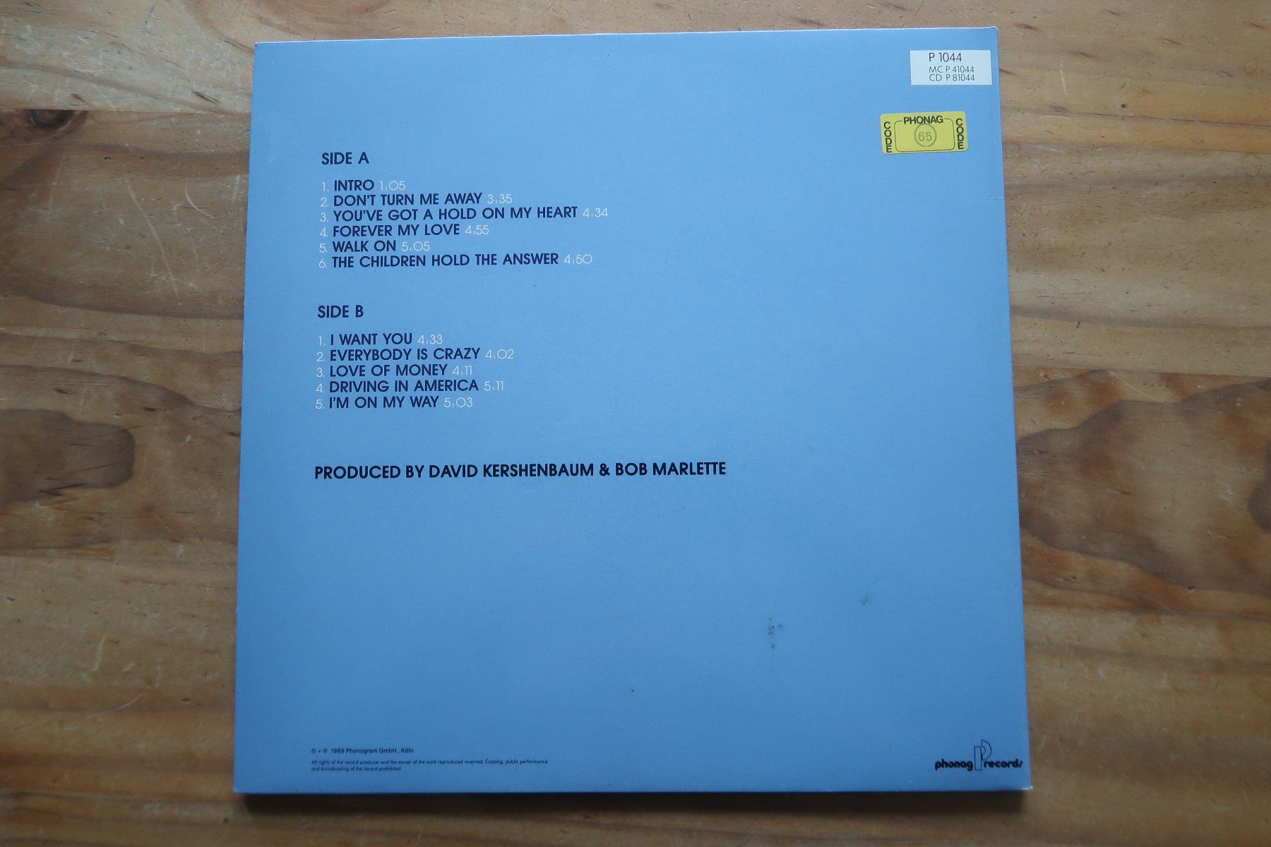 Dischi in vinile: STEVE THOMSON - ST - CH MELODIC HARD ROCK - VINYL LP – Usato da Basel venduto da Patiscat 1