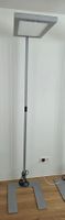 Waldmann LAVIGO LED Büroleuchte / Stehleuchte DPS 372R