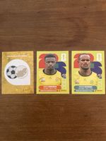 Panini Südafrika 