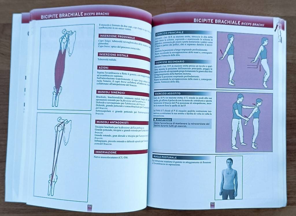 Bücher: Manuale professionale di stretching - Umberto Mosca – Gebraucht aus Bellinzona von gab_t52k 2