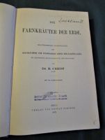 Farne Farnkräuter Gefässsporenpflanzen