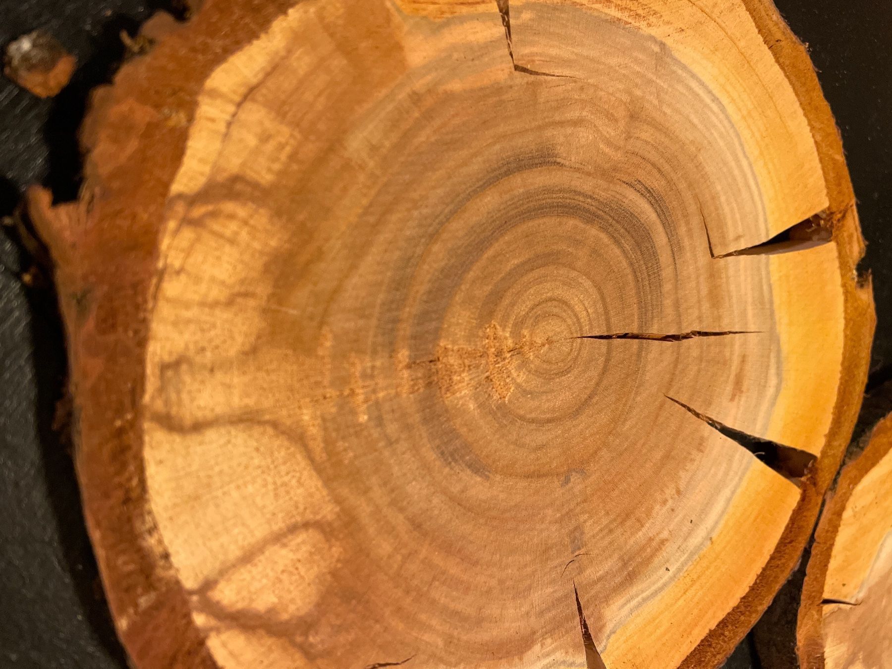 Holzartikel: Holzscheiben Kirsche – Gebraucht aus Brunnen von Holz-style 2
