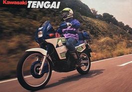 Exceptionnel Kawasaki 650 KLR Tengaï 35Kw A VENDRE