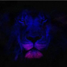 Profile image of Mxtc0