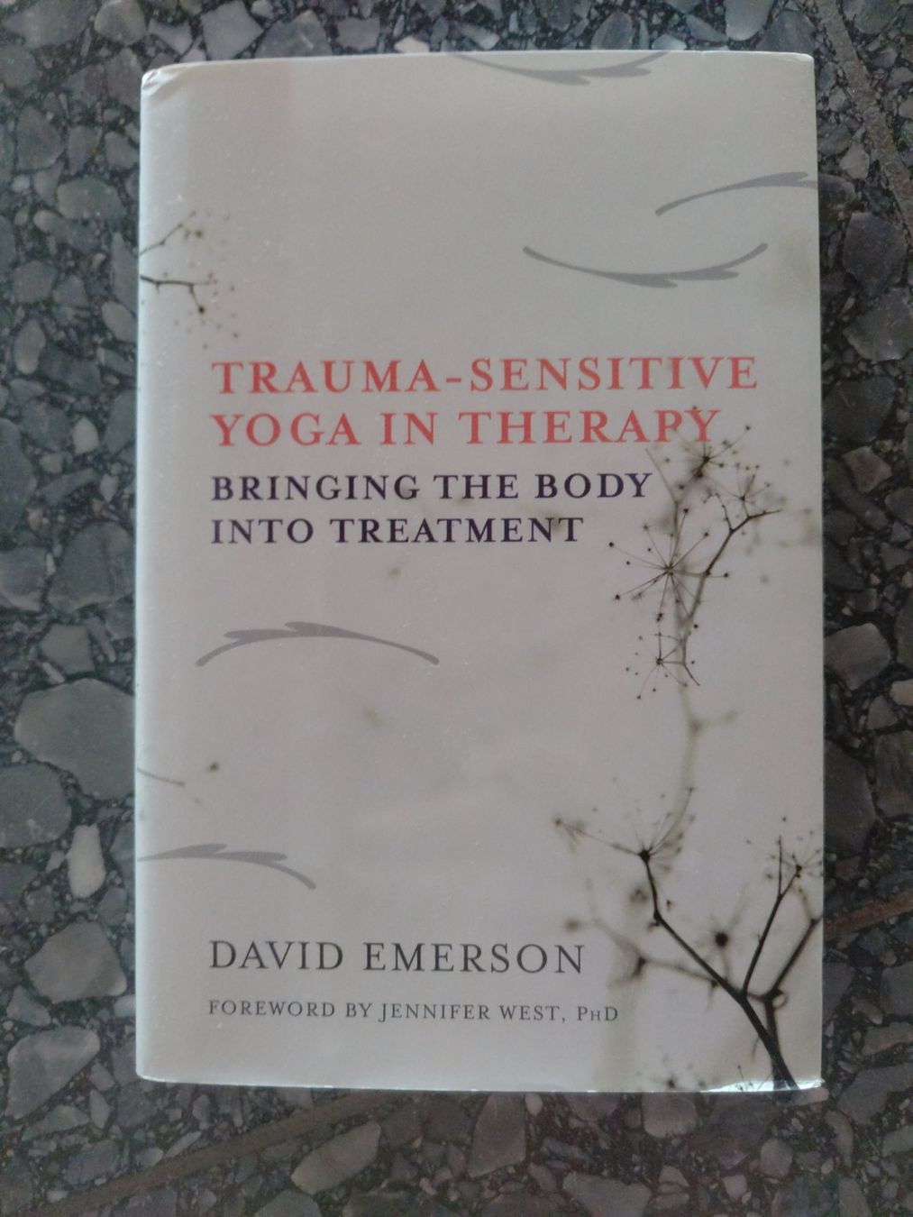 Libri: Trauma sensitive yoga in therapy – Usato da Zürich venduto da jyhl7