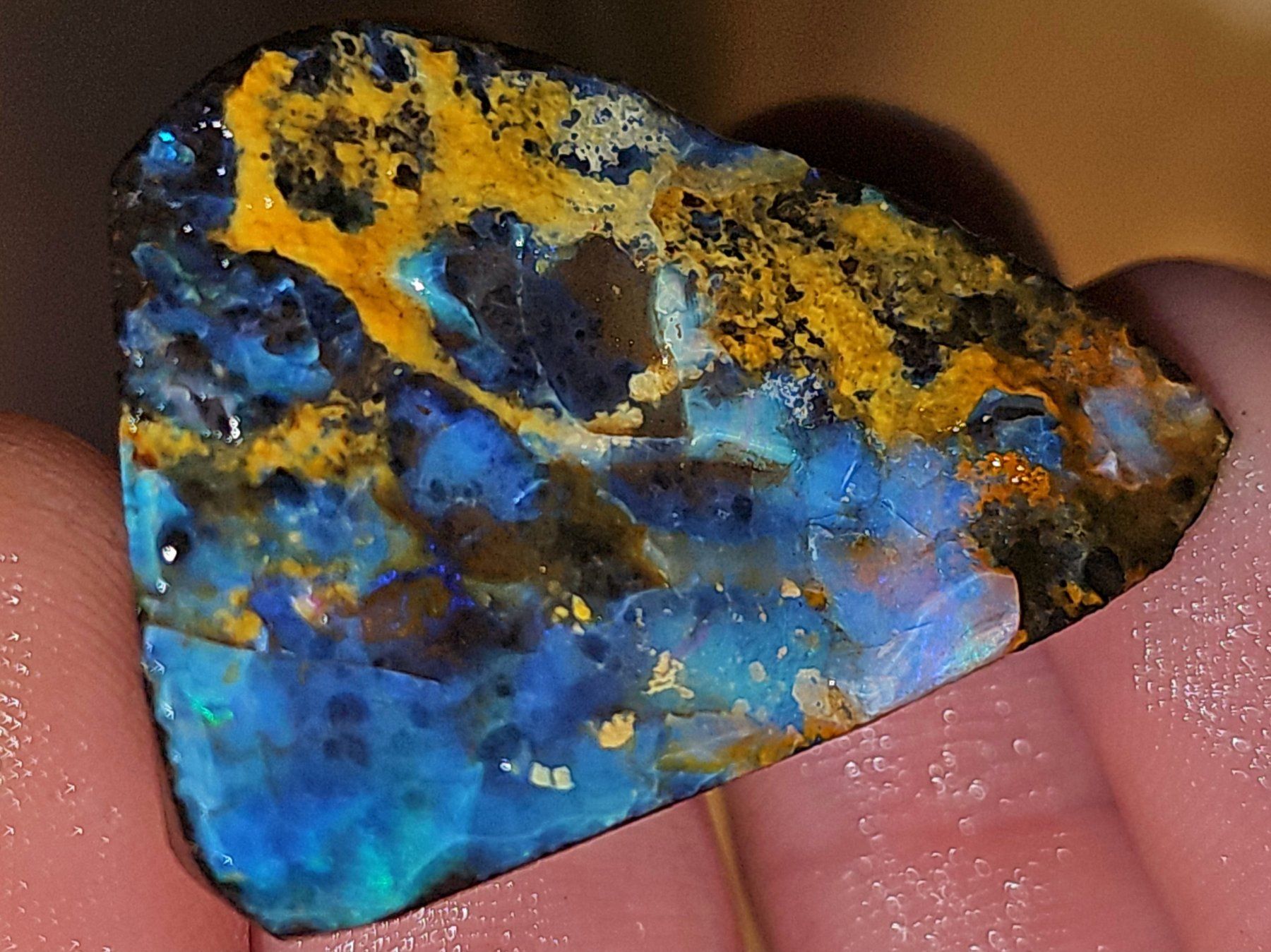 Pietre preziose: Australischer Boulderopal Rohstein – Nuovo e nell'imballaggio originale da Uerkheim venduto da Winwinner 4