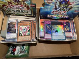 Yu-Gi-Oh Sammlung - Rise of Duelist/Toon Chaos etc. 🇩🇪🇬🇧