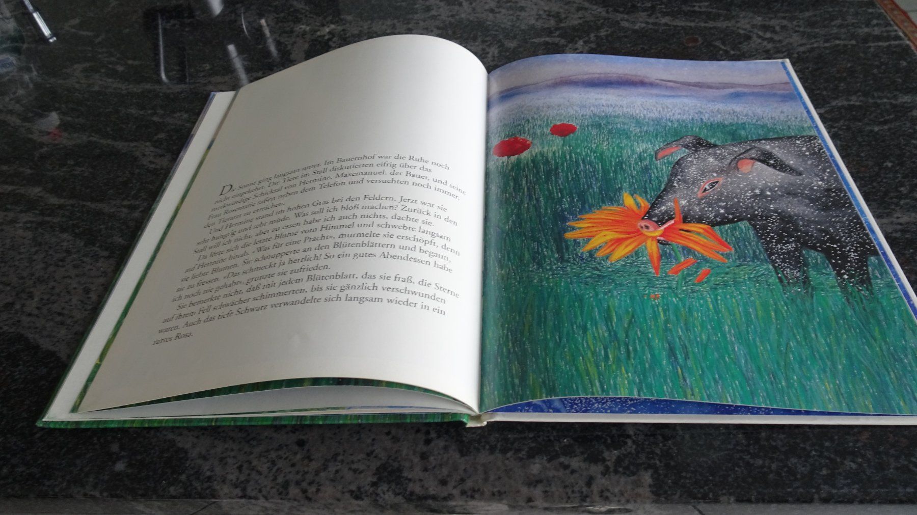 Bücher: HERMINE das Schwein   Bilderbuch – Gebraucht aus Zürich von Roulet 8
