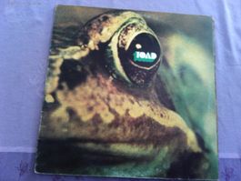 Toad Schallplatte von 1971 - Klassiker  Schweizer Rockband !
