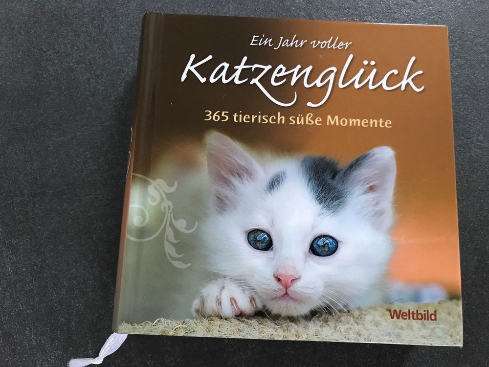 Katzenglück auf Papier: Ausmalbilder, die Freude bringen!
