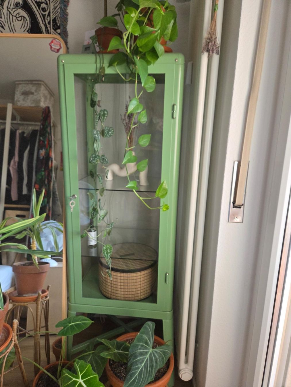 Ikea Vitrines: IKEA Vitrine FABRIKÖR grün – D'occasion à Basel par hiska31