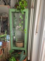 IKEA Vitrine FABRIKÖR grün