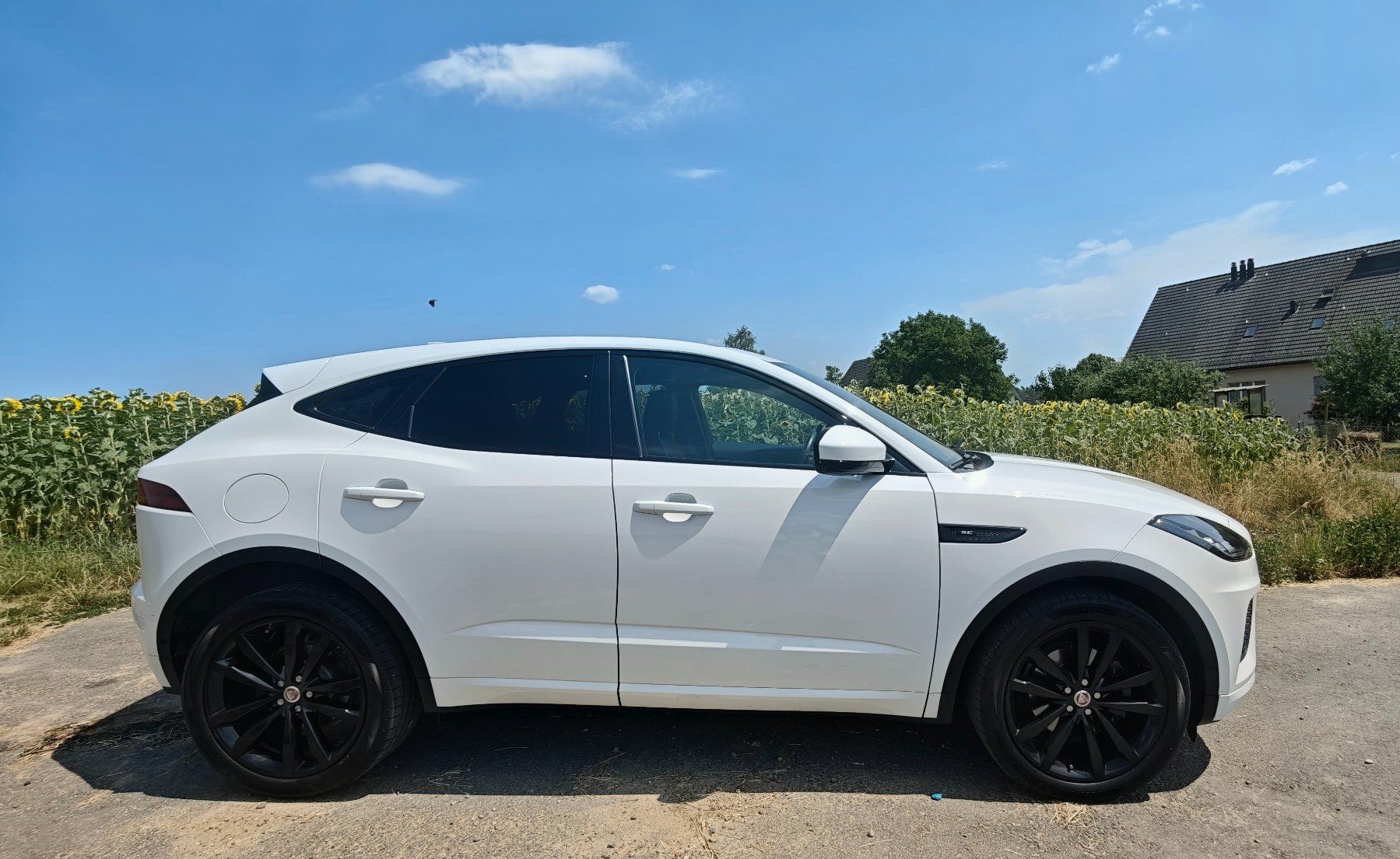 Jaguar Autos: Jaguar E-Pace 2.0 D180 AWD – Gebraucht aus Kloten von Mayoro7