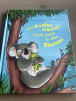 Die Koalas träumen hoch oben in den Bäumen. Top Zustand!