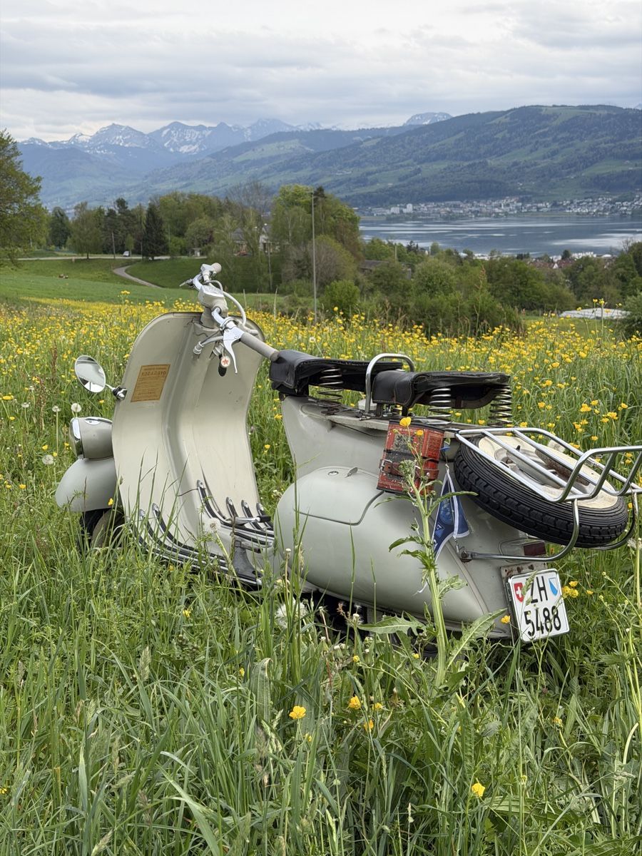 Piaggio Altro: Faro Basso 1953 – Usato da Männedorf venduto da GSgolfer 1