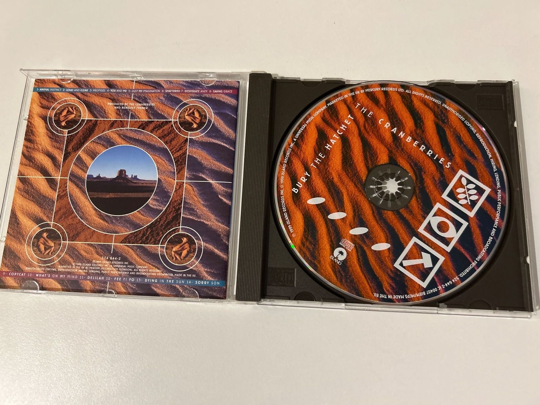 CDs: CD- The Cranberries- Bury The Hatchet – Gebraucht aus Guntershausen von Gloominati 2