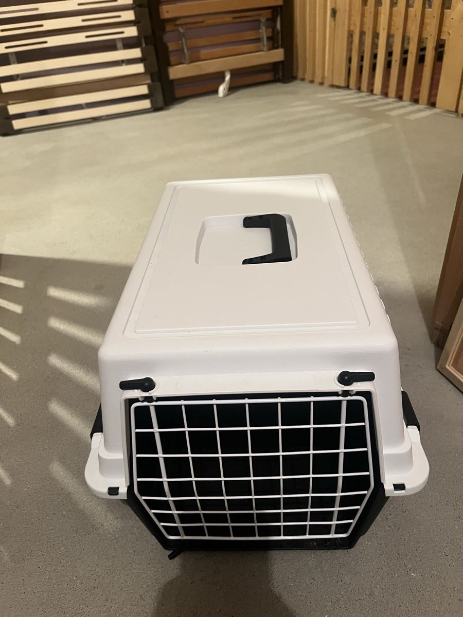 Gabbie, trasporto & Sicurezza: Transportbox – Usato da Gattikon venduto da Joy. 1
