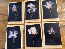 Karten-Set- Grusskarten- Flowers-Schreiben-Freude