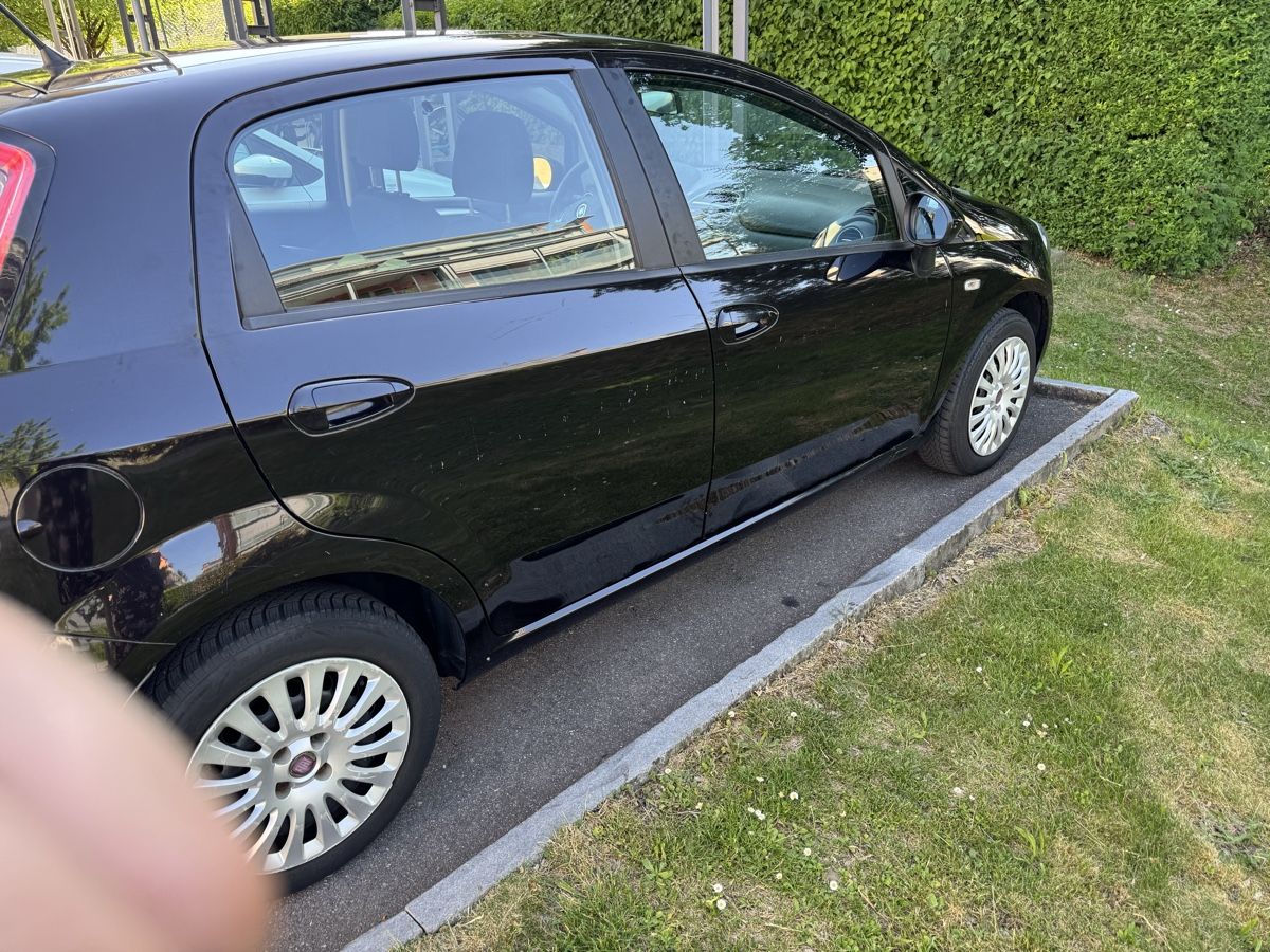 Fiat Automobili: Fiat Punto Evo – Usato da Pfäffikon ZH venduto da Fabi065 1