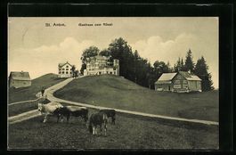 St. Anton, Kühe auf der Weide vor dem G