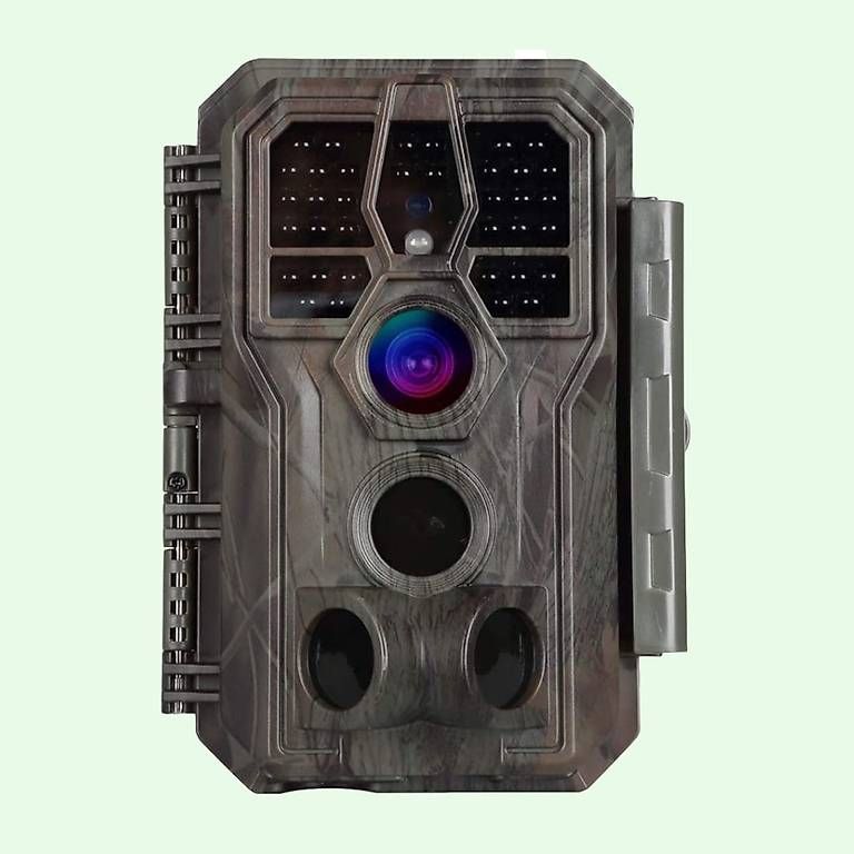 Caméscopes: Wildkamera – D'occasion à Wohlen AG par Apple_iMac