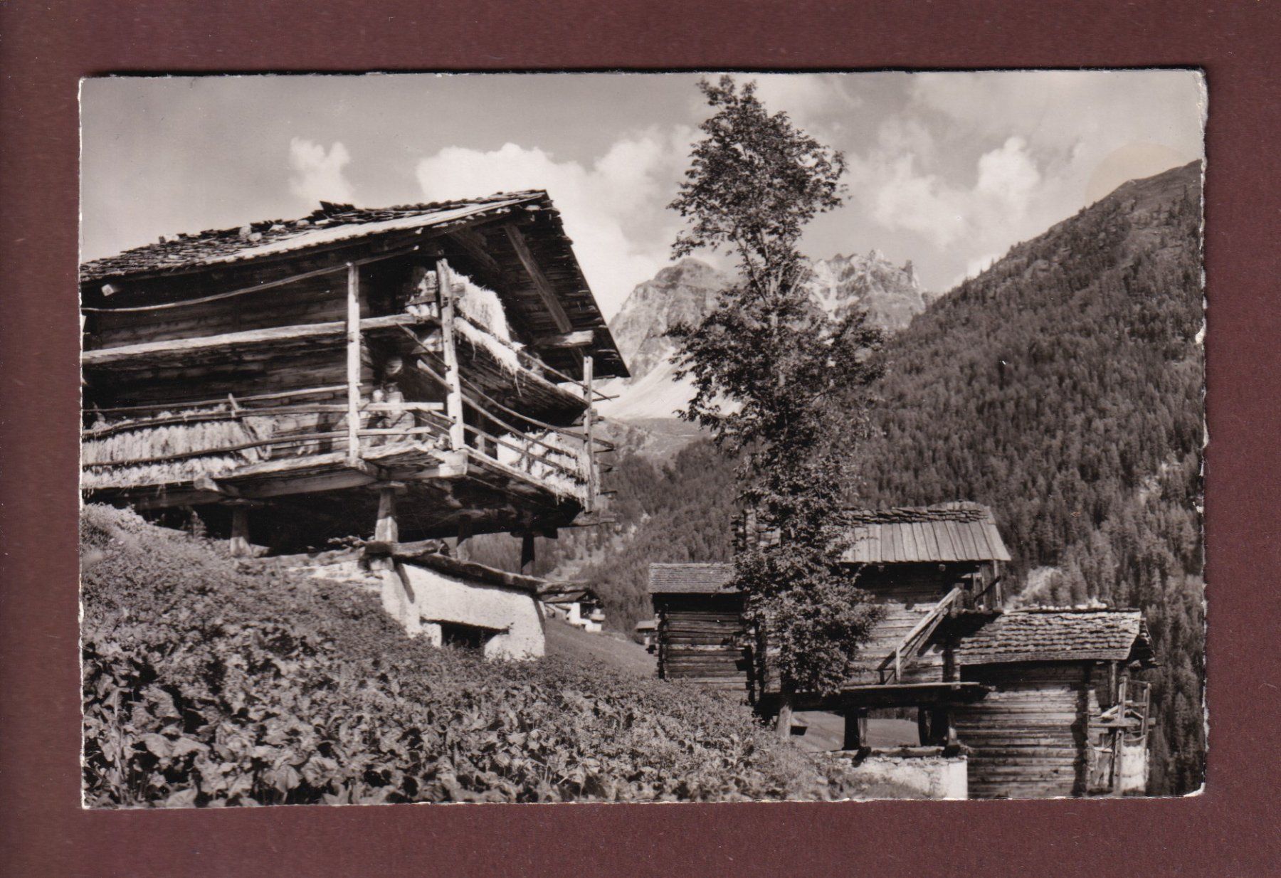 Cartoline postali: Raccards à ST. LUC - 1955 – Usato da Pully venduto da nicecards-shop