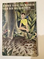 SJW Nr 195 Bernis Fahrt ins Wunderland der Waldameisen