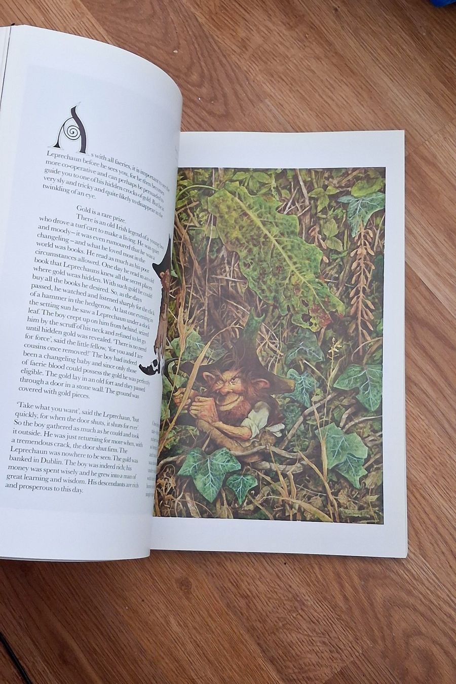 Livres: Fantasy-Kunstbuch "Faeries - Anniversary Edition (2002)" – D'occasion à Kloten par Frigo_1 6