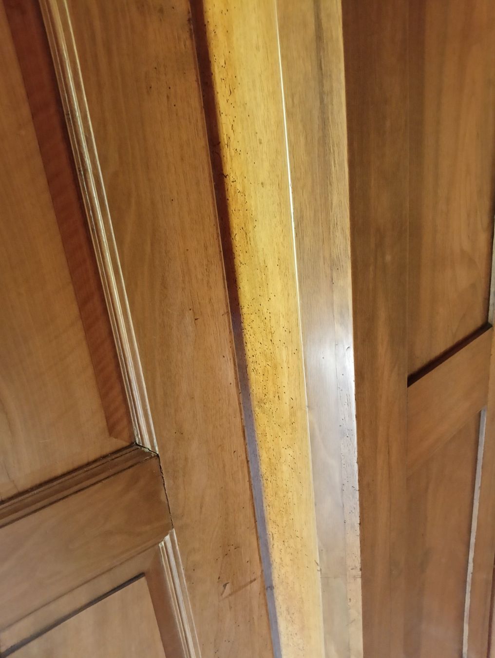 Armadi: Original Biedermeier Schrank - restauriert – Usato da Lumino venduto da Happy4Happy 6