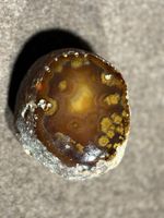 Geode Amethyst Stein Unikat Naturschönheit Dekoration Deko
3