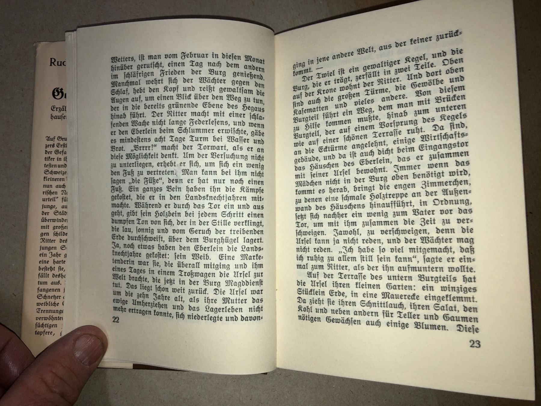 Libri: Rudolf Schnetzer: Das Gottesurteil – Usato da Zürich venduto da allp 5