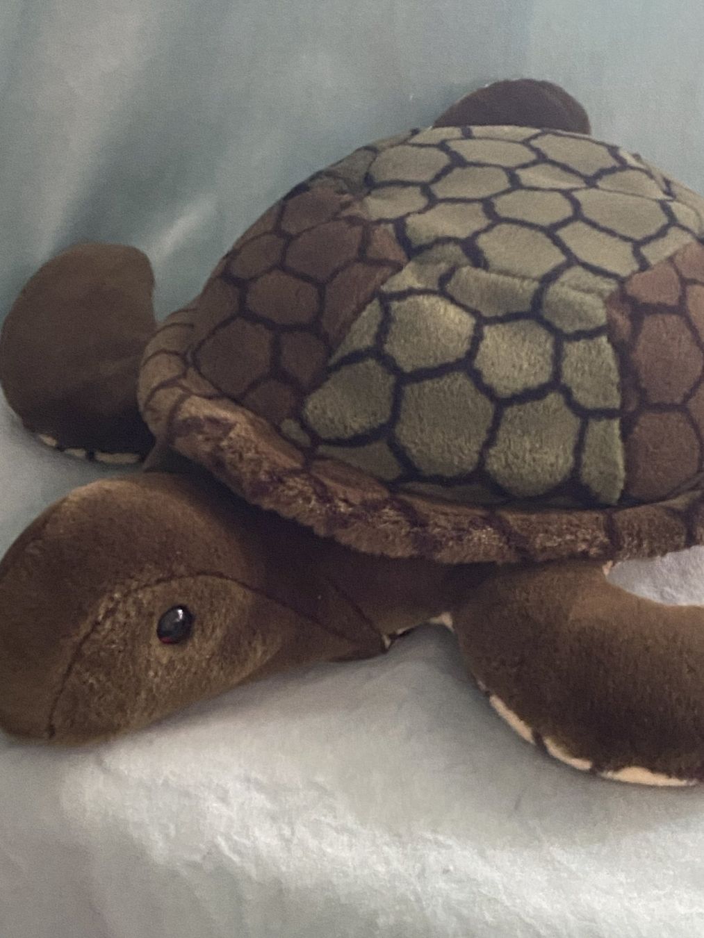Spielzeuge: Schildkröte – Gebraucht aus Sachseln von basti1950 3