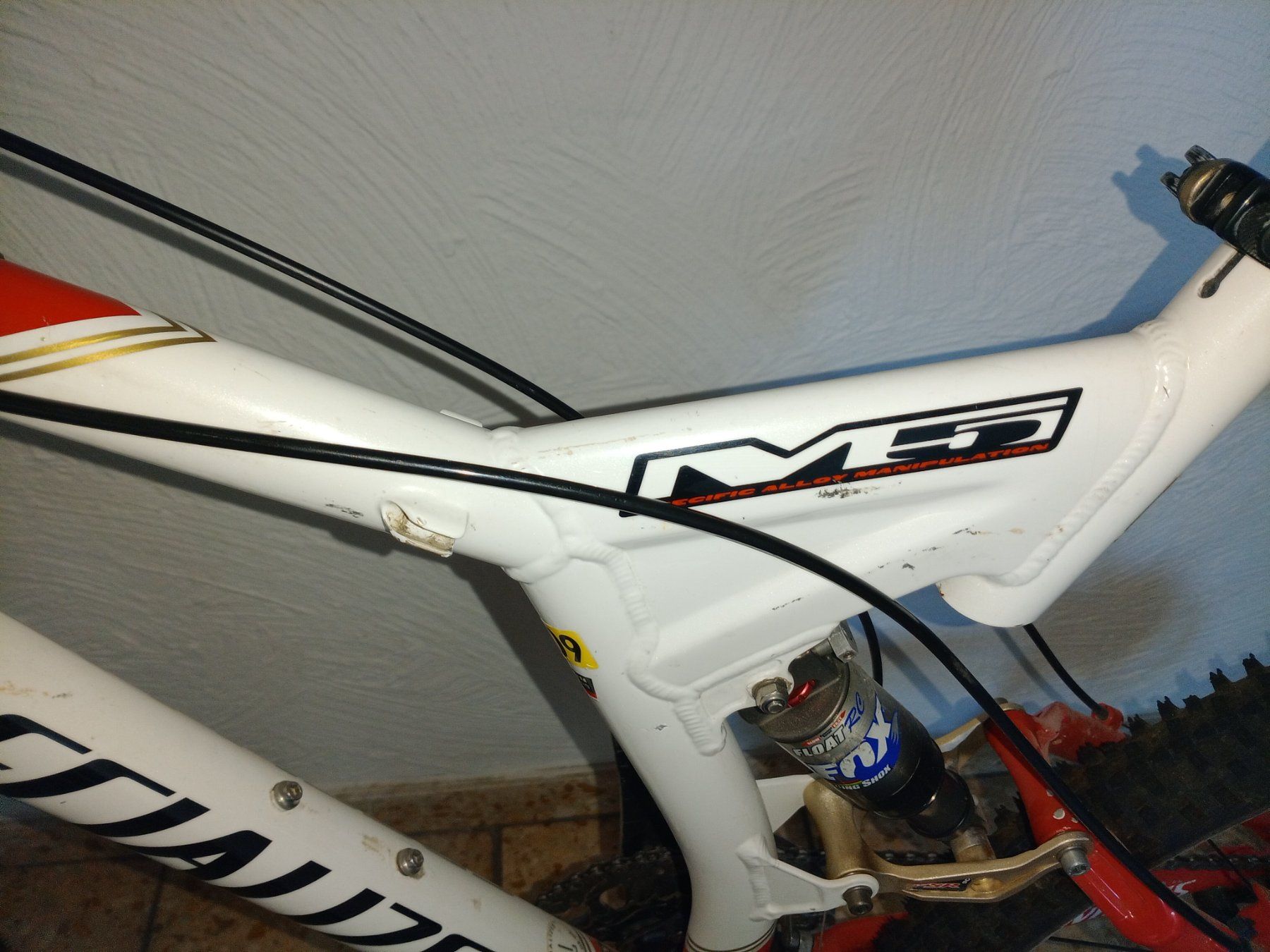 Specialized Biciclette: MTB – Usato da triengen venduto da fad_g29d 2
