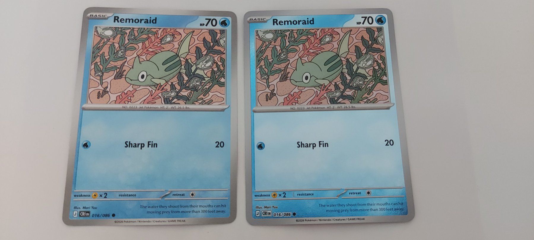 Pokémon Carte collezionabili: Remoraid normal & reverse CRI 016 Pokemon Karten englisch – Nuovo (secondo la descrizione) da Meilen venduto da joe_jp89