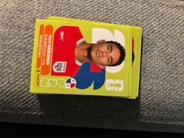 Panini Sticker PAN 14, Panama WM 2026