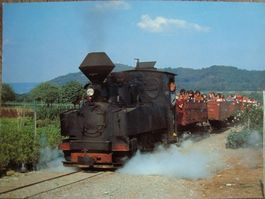 Schinznacher Baumschulbahn Dampflok Taxus (ex DR 99 3311)